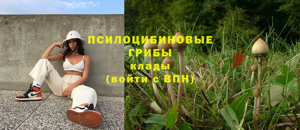 spice Абинск