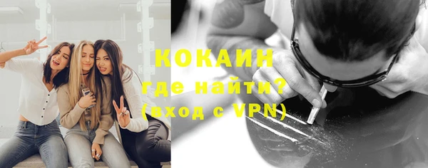 дмт Абаза