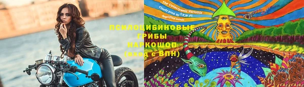 spice Абинск
