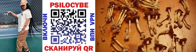 Псилоцибиновые грибы Magic Shrooms  Новокузнецк 